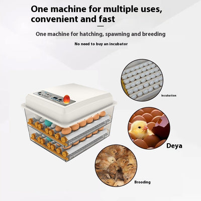 Incubadora Inteligente Automática para el Hogar - Image 3