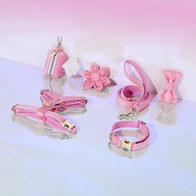 Conjunto de Collar y Correa de Terciopelo Suave para Mascotas - Image 40