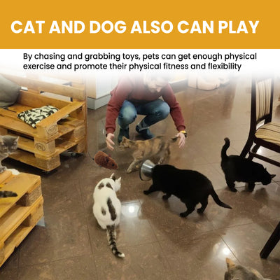 Brown interactive mouse toy for cats with a sound chip, shown in packaging with a kitten graphic and as a standalone toy. - Image 3
