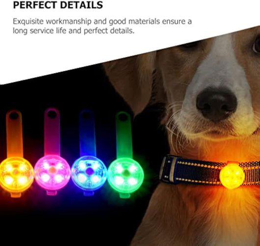 Luz Colgante para Perro - Accesorio Luminoso de Seguridad para Paseos Nocturnos - Image 13
