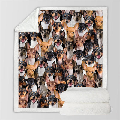 Manta Flanela Estampada para Perros de Moda - Image 39