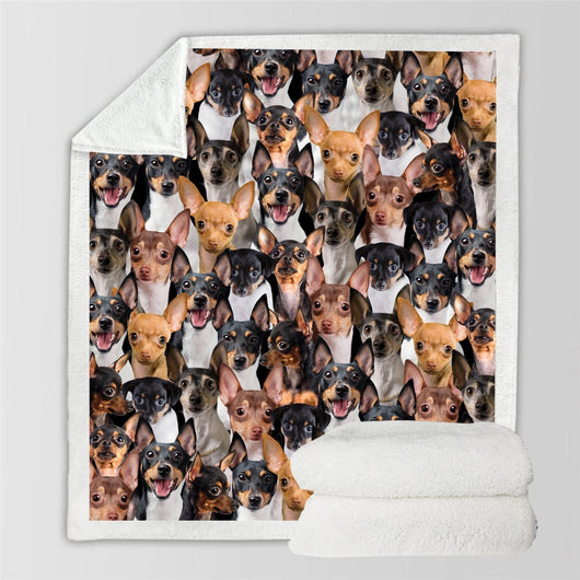 Manta Flanela Estampada para Perros de Moda - Image 39