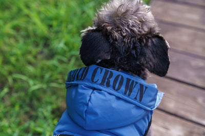 Abrigo Térmico con Capucha para Mascotas - Diseño Acolchado Invierno - Image 15
