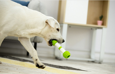 Juguete Automático para Perros Guiwei Happy Bone - Image 11