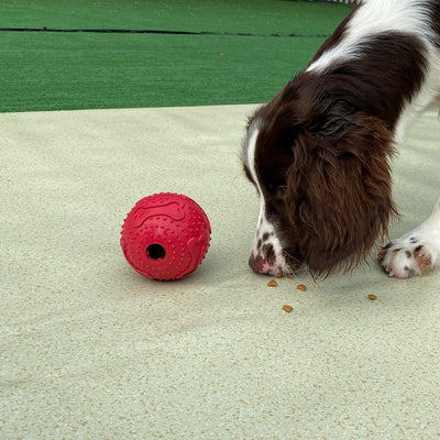 Red rubber pet leaking toy ball with bone patterns and textured nubs, measuring 9.5cm, on a white background.
