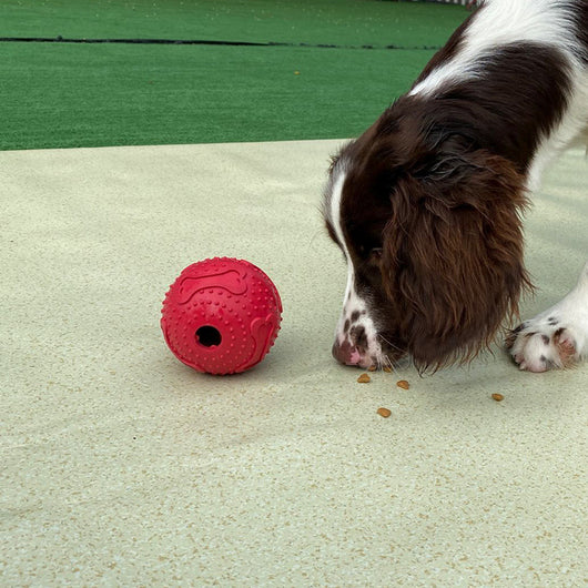 Red rubber pet leaking toy ball with bone patterns and textured nubs, measuring 9.5cm, on a white background.