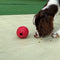 Juguete Interactivo para Mascotas con Fugas de Diversión