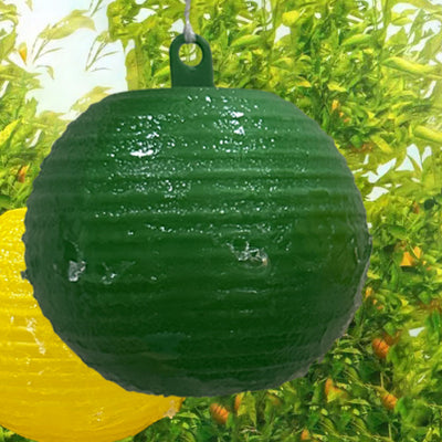 Bola Adhesiva Atrapamoscas de la Fruta Aroma Naranja