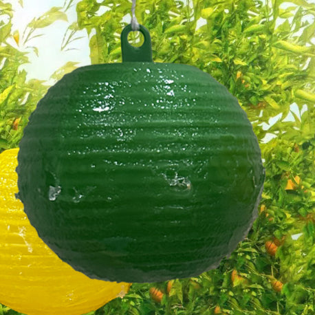 Bola Adhesiva Atrapamoscas de la Fruta Aroma Naranja