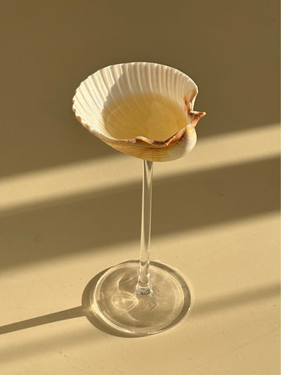 Vaso Térmico Diseño Concha Marina - Taza Creativa para Bebidas - Image 5