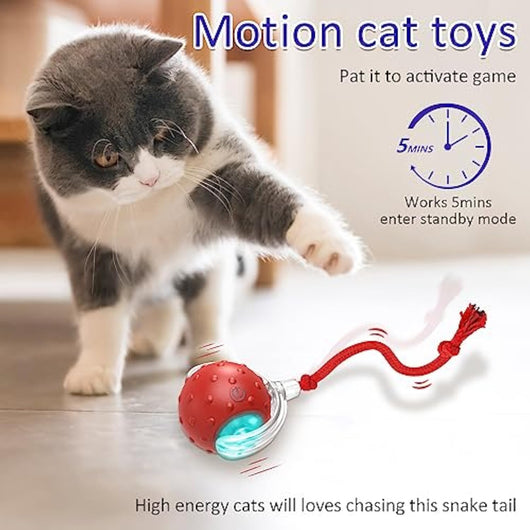 Red interactive cat toy ball with a clear outer shell, glowing blue light, and a red rope, shown with a kitten. - Image 2