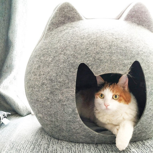 Casa Refugio para Gatos con Arenero Integrado - Image 10