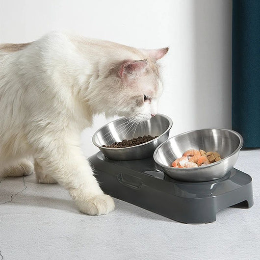 Comedero Doble de Acero Inoxidable para Perros y Gatos con Soporte - Image 9