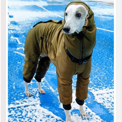 Abrigo Acolchado de Algodón Grueso para Invierno - Cuatro Capas - Image 2