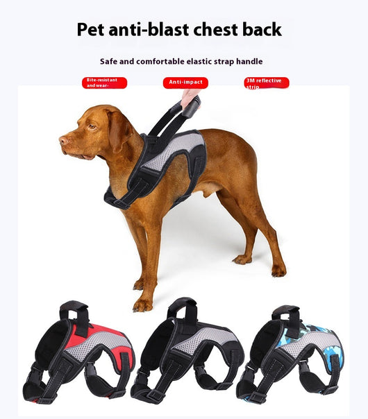 Arnés para Perros Medianos y Grandes Anti-Tracción Transpirable con Correa de Control - Image 15
