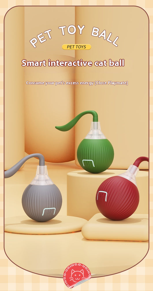 Interactive cat toy set featuring a blue rolling ball with a rope and a feather wand with a suction cup base. - Image 10