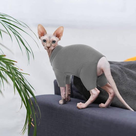 Suéter Cuello Alto para Gatos Sphynx - Ropa Térmica Suave para Gatos sin Pelo - Image 9