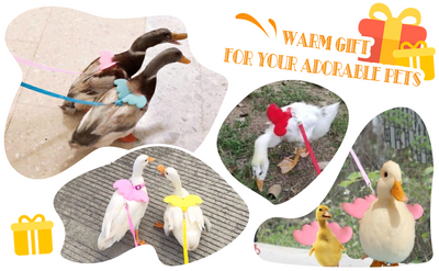 Arnés Ajustable con Alas y Cuerda de Tracción para Aves de Corral y Mascotas Pequeñas - Image 22
