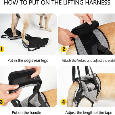 Arnés de Apoyo para Patas Traseras de Perros Lesionados - Image 5