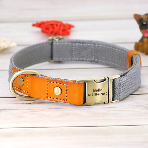 Collar de Cuero para Perros Anti-pérdida con Placa de Identificación