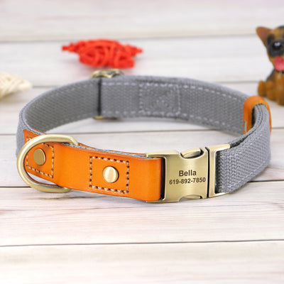 Collar de Cuero para Perros Anti-pérdida con Placa de Identificación - Image 2
