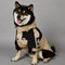 Chaqueta Impermeable Khaki para Perros