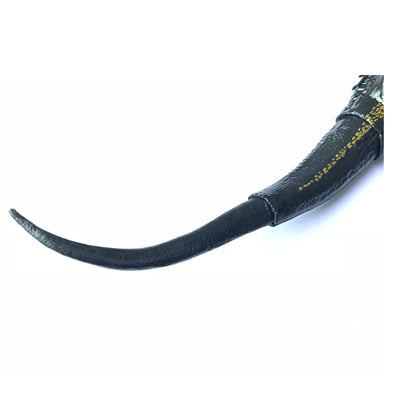 Modelo Velociraptor Premium - Image 9