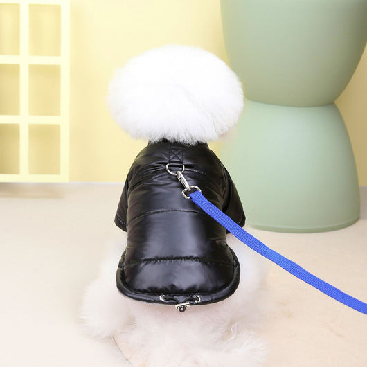 Abrigo Impermeable Teddy para Perros - Ropa de Otoño e Invierno - Image 11