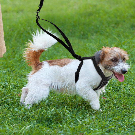 Arnés Reflectante Transpirable para Perros con Control Anti-tirones