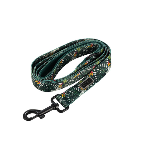 Arnés Ajustable para Perro con Cuerda de Tracción - Image 6