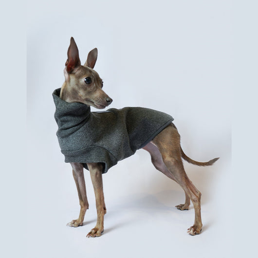 Abrigo para Perros Otoño e Invierno - Aislante y Resistente al Viento - Image 7