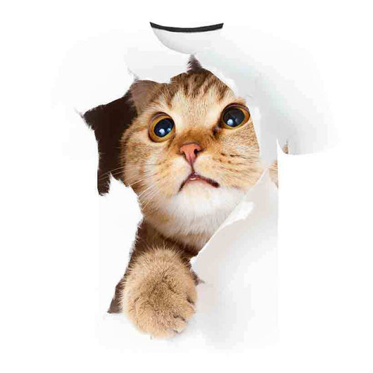 Playera de Verano para Niños Estampado Gatito Coreano - Image 10