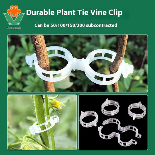 Clips de Sujeción para Plantas y Enredaderas - Image 11