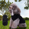 Sudadera Ligera con Capucha para Perros Pequeños - Primavera Verano