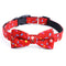Rojo Talla S