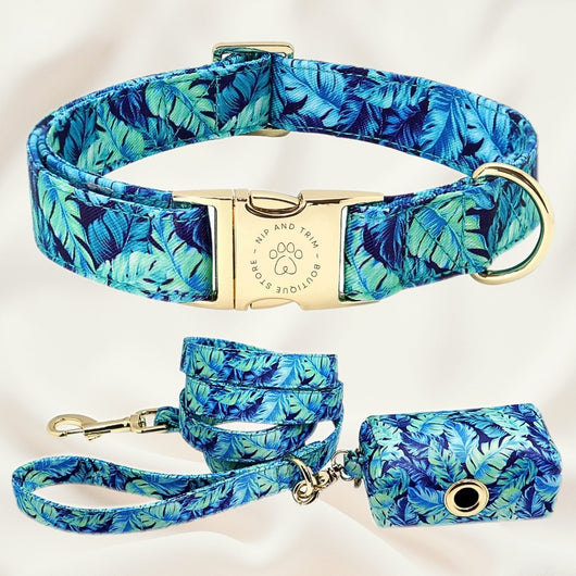 Collar Personalizado para Perro con Placa de Identificación - Image 8