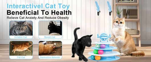 Juguetes Interactivos para Gatos - Set Completo de Entretenimiento Felino - Image 19