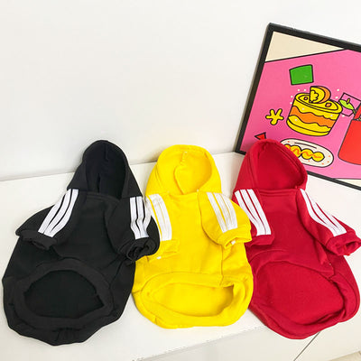 Ropa de Abrigo para Perros - Diseños Adorables Otoño e Invierno - Image 21
