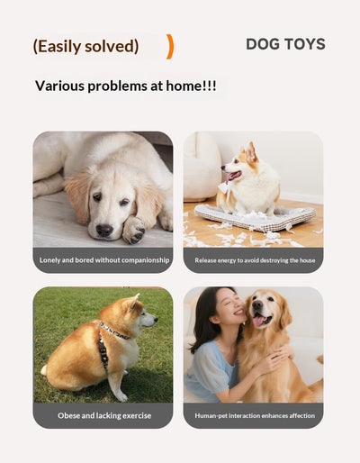 Juguete Interactivo Eléctrico para Gatos y Perros - Bola Autojugable - Image 8