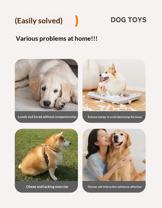 Juguete Interactivo Eléctrico para Gatos y Perros - Bola Autojugable - Image 8