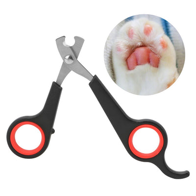 Cortaúñas para Perros Profesional con Tijeras de Precisión - Image 4