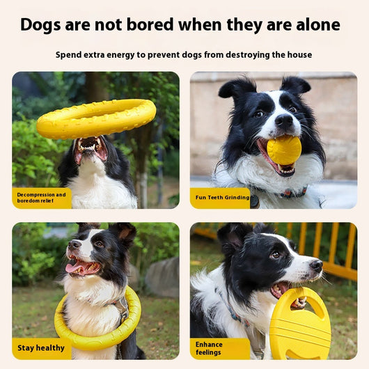 Yellow 7cm solid EVA dog toy ball with textured surface and dog silhouette graphic. - Image 17