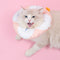 Collar Reversible Doble Cara para Perros y Gatos