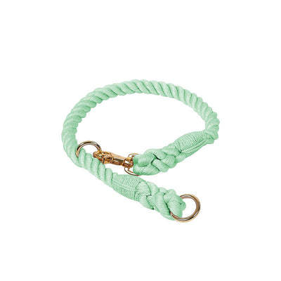 Collar Tipo P Ajustable para Perros Pequeños y Medianos - Image 11