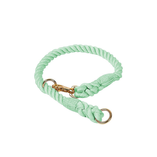 Collar Tipo P Ajustable para Perros Pequeños y Medianos - Image 11