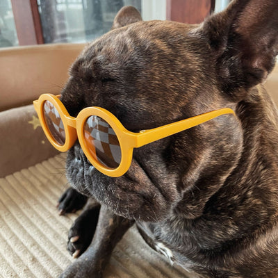 Gafas de Sol Redondas para Mascotas - Protección y Estilo - Image 17