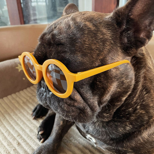 Gafas de Sol Redondas para Mascotas - Protección y Estilo - Image 17