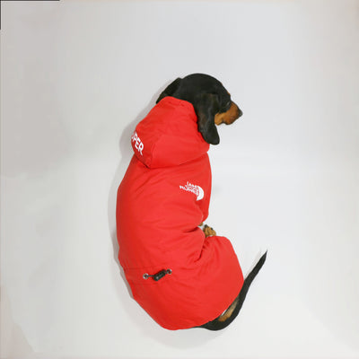 Abrigo Reflectante para Mascotas - Ropa Térmica Impermeable para Perros y Gatos - Image 13