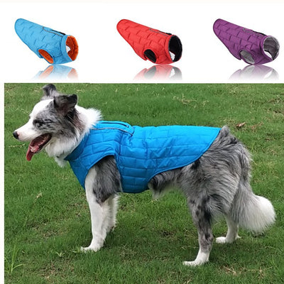 Ropa de Abrigo para Mascotas Cuadros Bicolor Otoño Invierno - Image 2