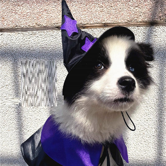 Disfraz de Mago para Mascotas - Set Completo de Decoración Halloween